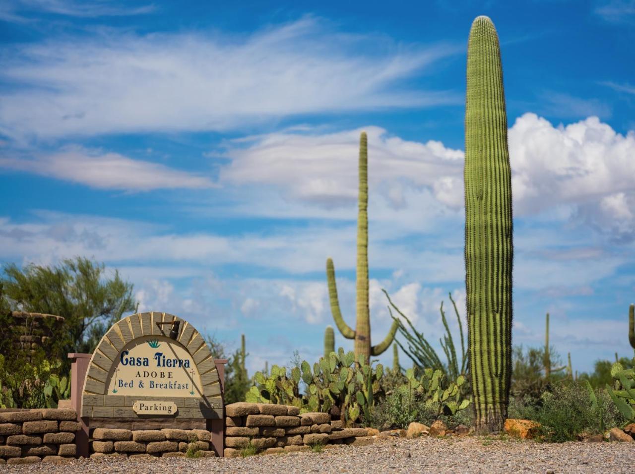 Casa Tierra Adobe Bed & Breakfast Avra ภายนอก รูปภาพ
